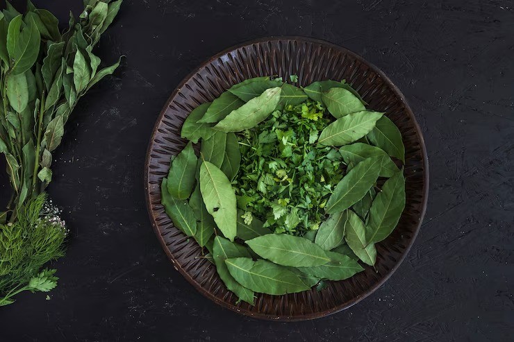 menu sayur untuk busui, melancarkan ASI, makanan pelancar ASI, resep sayur ibu menyusui, daun katuk ASI, sayuran pelancar ASI, tips makanan ibu menyusui